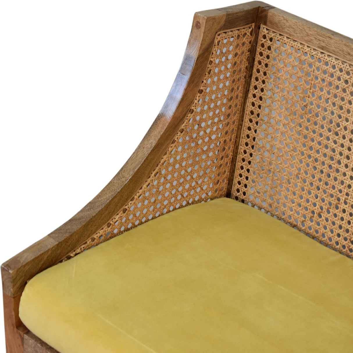 Larissa Mustard Cotton Velvet Chair NOVEX FURNITURES