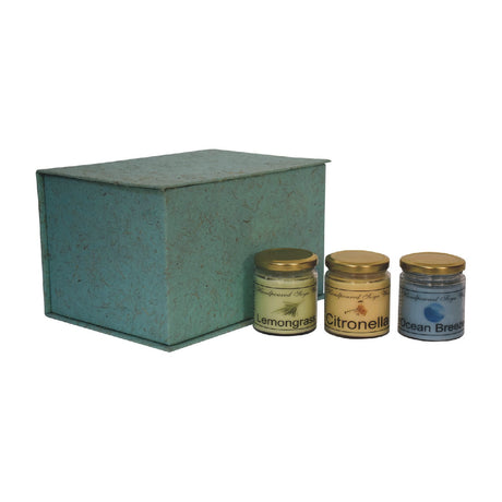 Candle Gift Set of 3 (Summer) NOVEX FURNITURES